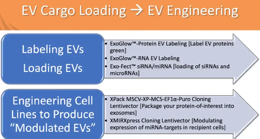 [ XPAK510PA-1] XPack CMV-XP-MCS-EF1-Puro Cloning Lentivector   