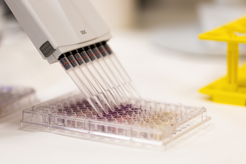 96-Well Semi-Skirted PCR Plate Blue 25 plates