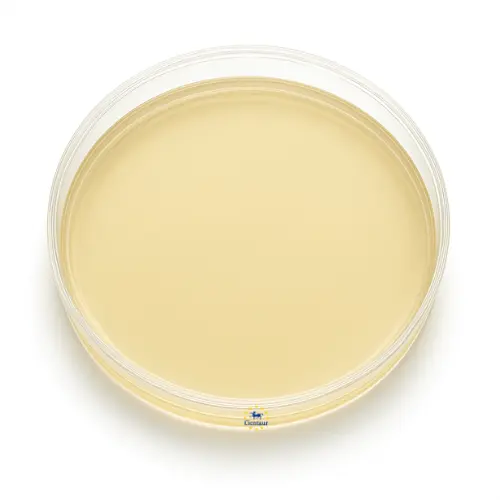 GC Agar Base